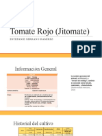 Tomate Rojo (Jitomate)