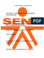 Evidencia de Producto. Informe Reconocer Las Características Básicas Del Comercio Electrónico
