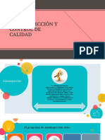 DIAPOSITIVA - Autoinspección y Control de Calidad - Auditoría de La Calidad Personal