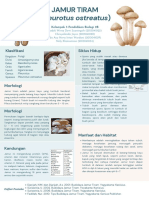 Kelompok 3 - Pendidikan Biologi 2B - Jamur Tiram
