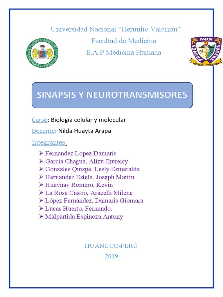 5 SINAPSIS Seminario 5 | PDF | Sinapsis | Sinapsis química