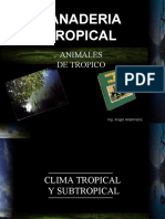 Clima tropical ganadería