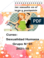 Rotafolio-Cambios Sexuales en El Embarazo