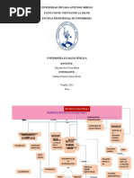 Mapa Conceptual Desarrollo Historico de La Salud Publica