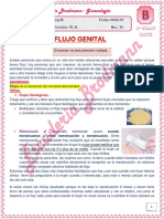 16 Teo Ginecologia Flujo Genital Bloque B 08-03-19