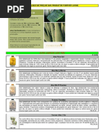 FEV CATALOGO DE PRODUTOS1