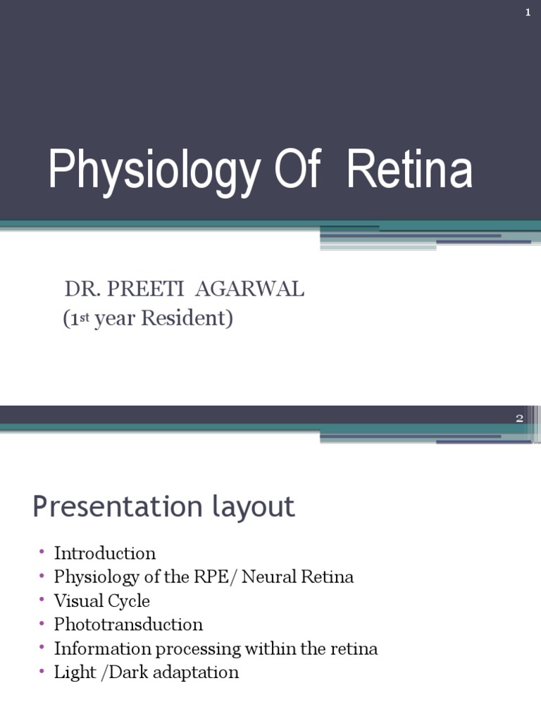 Retina Physiology Overview | PDF | Retina | Depolarization