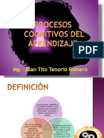 Procesos Cognitivos 2013