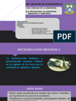 Meteorizacion Biologica