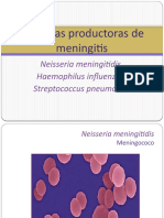 17neisseria Mening-Meningococo