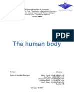 The human body: An overview