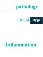 2 - Chroic Inflammlation1