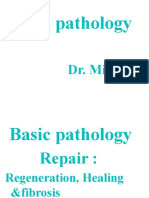 Basic Pathology of Wound Healing and Repair