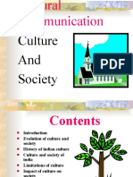 Fb017culture and Society
