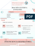 Respiración Externa - Hipoxia