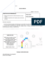 Guía #1 - 3° Año Básico