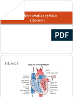 Cardiovascular System: (Review)