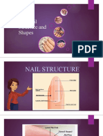The Nail Structure and Shapes