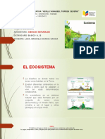 Semana # 4 Ccnn. Octavo A, B