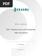Manual RUPS para Prestadores de Servicios | PDF | Business | Software ...
