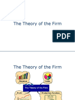 The Theory of The Firm