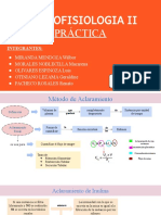 Morfofisiologia Ii - Semana 10 (Práctica)