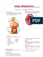 Aparato Digestivo