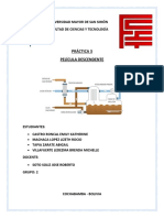 Lab de Termo Película Descendente Práctica 3