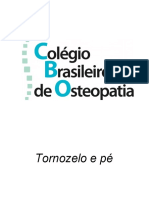 Osteopatia - Tornozelo-E-Pé