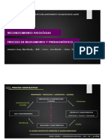 Pmrha t.3 - Patologias