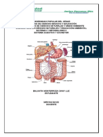 Taller de Digestion. 123