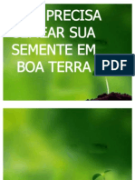 Apresentação 1