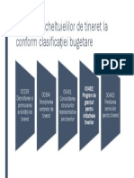 Categoriile de Cheltuieli