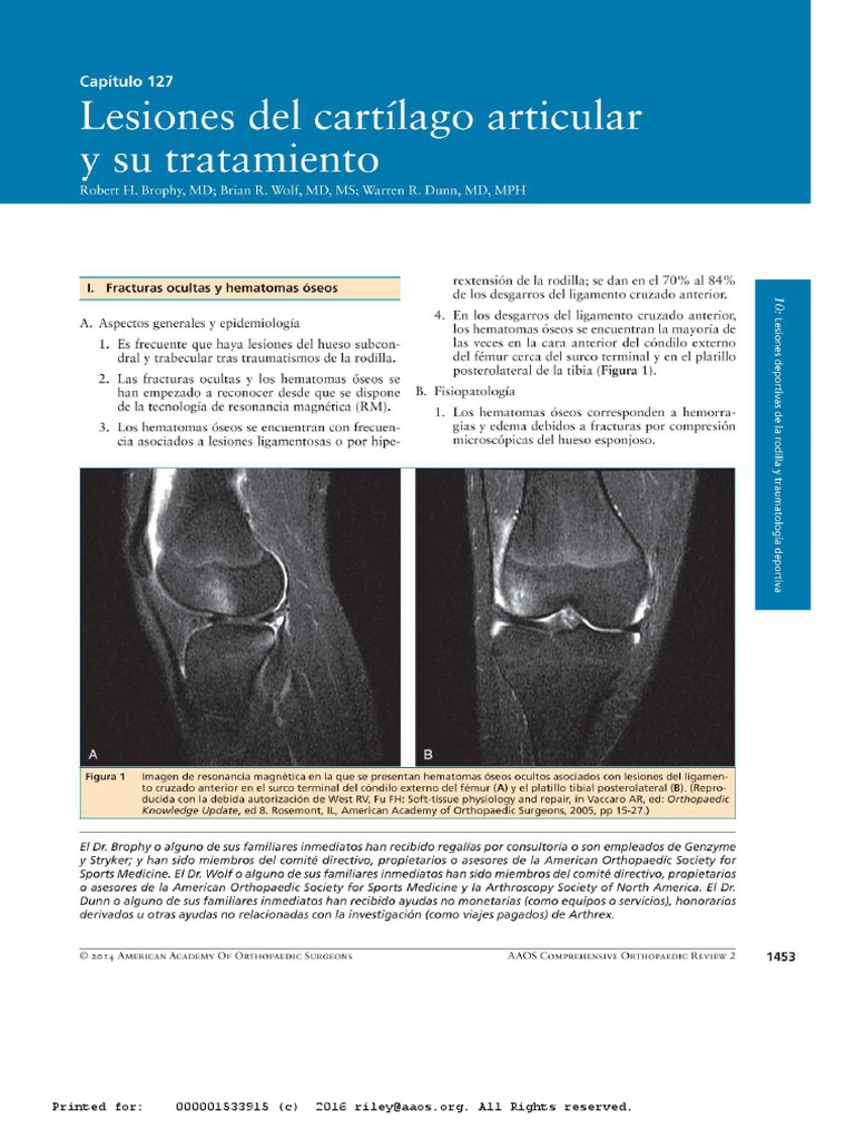 Lesiones y Cartílago de la Rodilla | PDF