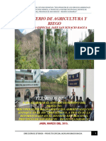 Portada para TDR Estudios Definitivos Del PIP Tabaconas 2015 2 (Para Ptar)
