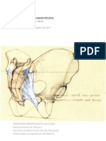 TEMA 2. Cintura Inferior o Pélvica