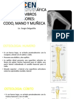 2. Radiologia Mmss- Codo