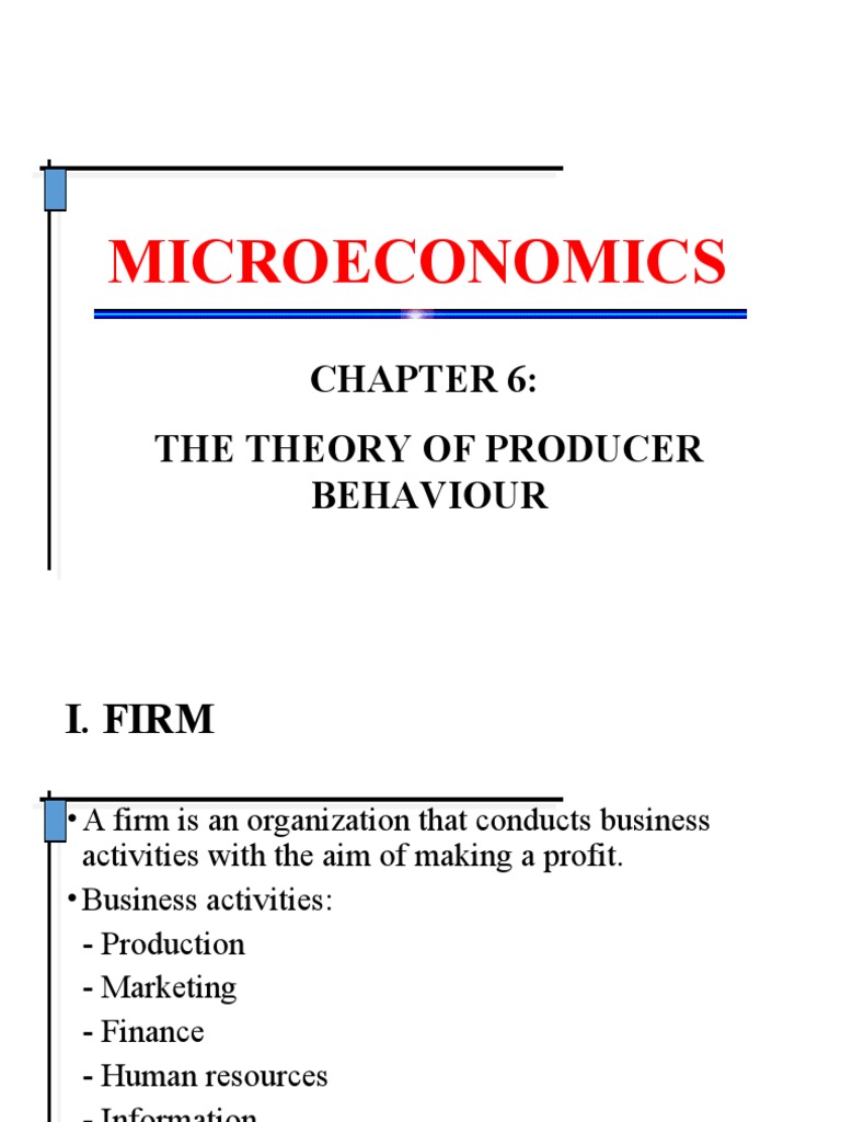 Theory of Producer Behaviour in Economics | PDF | Production Function ...