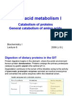 Amino Acids