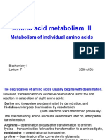 Amino Acids II