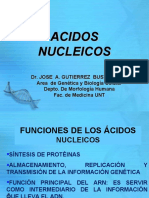 acidos nucleicos 14