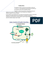 Ruiz - Parte Del Inf. Memb. basolaterAL