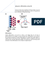 Distinguish Between Morphogenesis, Differentiation, and Growth. Morphogenesis