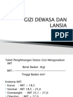 Gizi Dewasa Dan Lansia