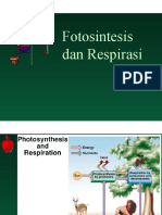 Fotosintesis Dan Respirasi1