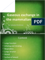 Gaseous Exchange in The Mammalian Lungs: by Vytautas Kontrimas