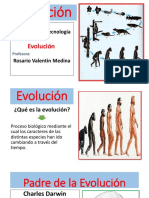 EVOLUCION 6to Prim