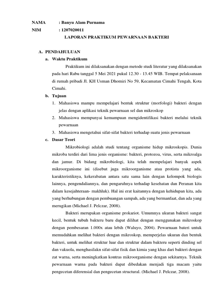 Laporan Pewarnaan Bakteri | PDF