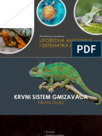 Krvni Sistem Gmizavaca Nikola Grujic