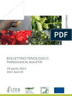 IPHEN Bollettino 20210429